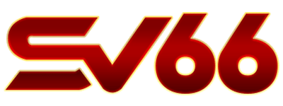 sv666.cc